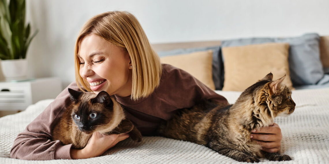 O que significa quando seu gato dorme sobre seu corpo