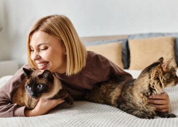 O que significa quando seu gato dorme sobre seu corpo