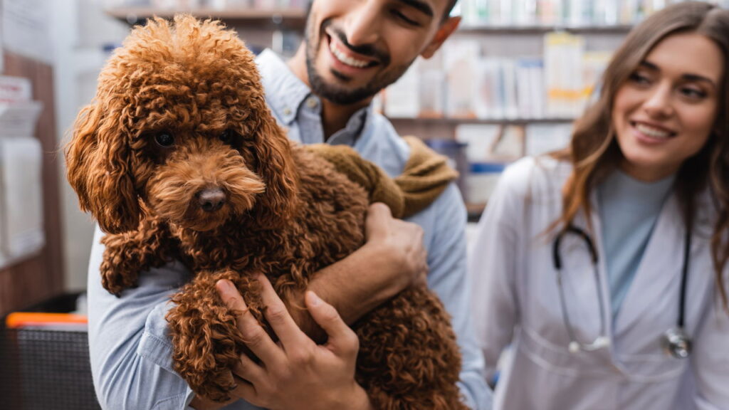 Os 5 cuidados mais importantes para a saúde do seu pet em 2025