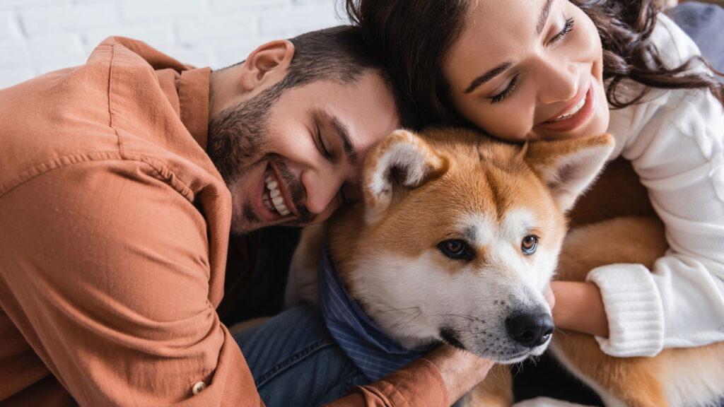 Ansiedade e medo nos pets como transformar em carinho segundo a psicologia
