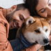 Ansiedade e medo nos pets como transformar em carinho segundo a psicologia