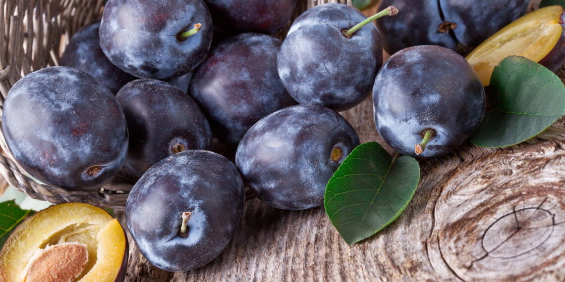 Essa fruta deliciosa pode mudar seu jardim de forma surpreendente
