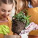 Essas são as 5 plantas que curam mais que abraço de vó!
