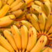Como plantar bananas em vasos para colheita caseira simples