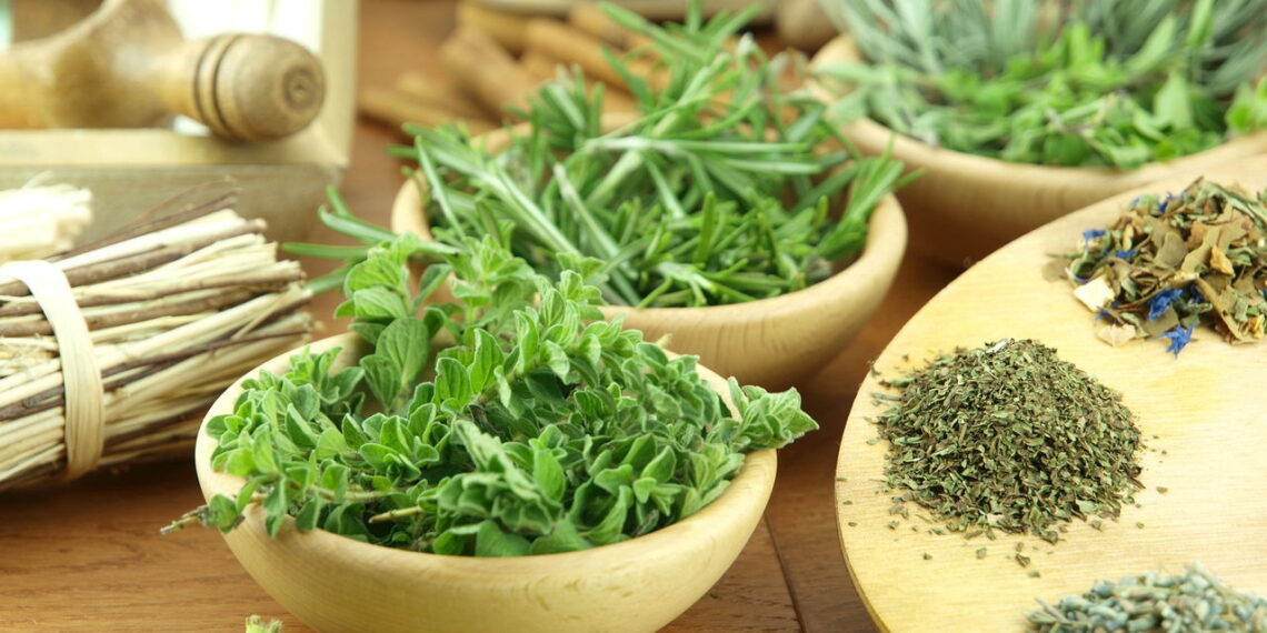 As 5 ervas frescas para deixar suas receitas mais saborosas!