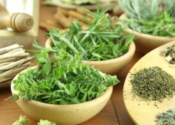 As 5 ervas frescas para deixar suas receitas mais saborosas!