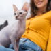Cuidados essenciais para manter a saúde de gatos sem pelo