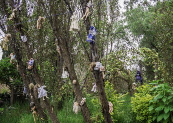 Essa é ilha mais macabra de todas e intriga turistas com seus mistérios