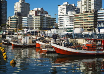 Cidade é muito amada por suas lindas paisagens urbanas e alta economia