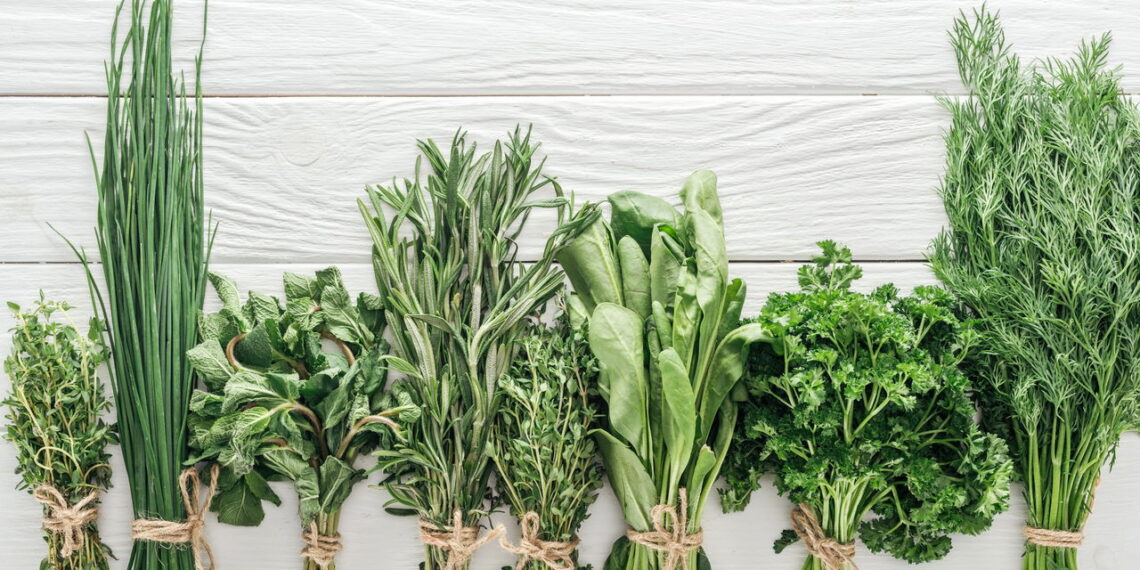 As 5 plantas que você pode cultivar e usar na culinária para transformar suas receitas