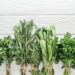 As 5 plantas que você pode cultivar e usar na culinária para transformar suas receitas