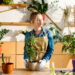 As 5 plantas perfeitas para ambientes fechados e com pouca ventilação