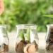 As 5 plantas que atraem dinheiro e prosperidade para a sua vida