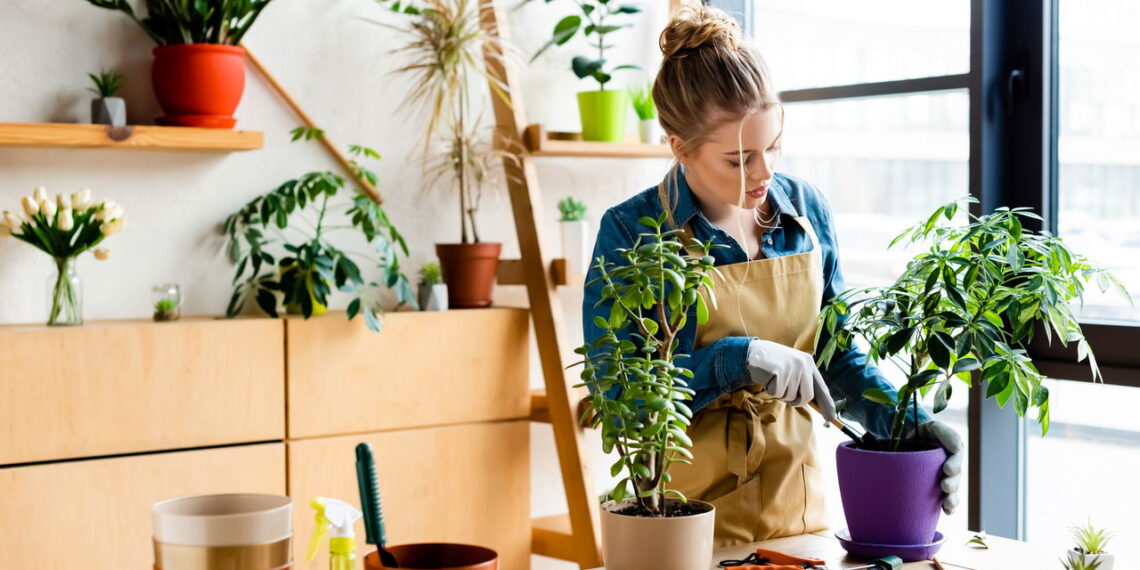 As 5 plantas que crescem rápido e dão resultado em poucos dias