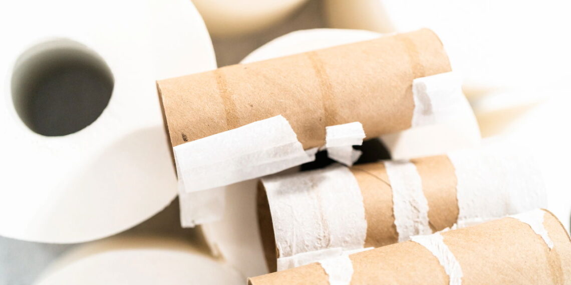 Veja como reaproveitar rolos de papel em organizadores úteis com poucos materiais?