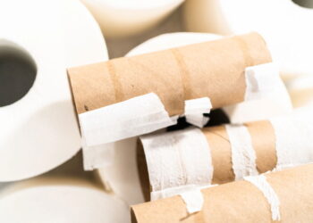 Veja como reaproveitar rolos de papel em organizadores úteis com poucos materiais?