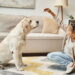 Como os pets podem transformar a infância de forma única
