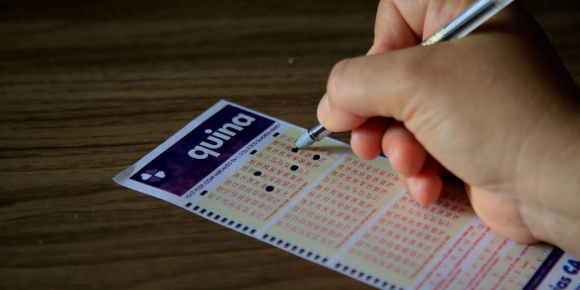 Os números mais apostados da Quina segundo dados oficiais