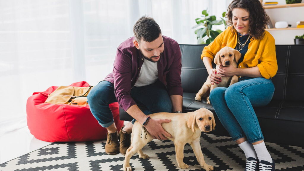 Falar com seu cão todos os dias pode mudar a forma como ele se conecta a você