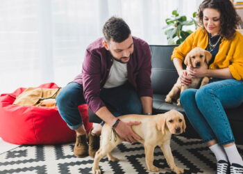 Falar com seu cão todos os dias pode mudar a forma como ele se conecta a você