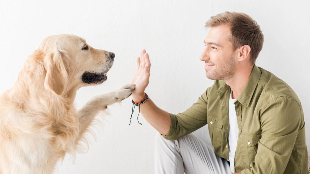 O nome do seu pet pode revelar mais sobre você do que imagina