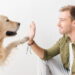 O que significa falar com animais de estimação como se fossem humanos, segundo a psicologia
