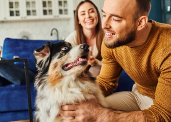 Falar com seu cão todos os dias pode mudar a forma como ele se conecta a você