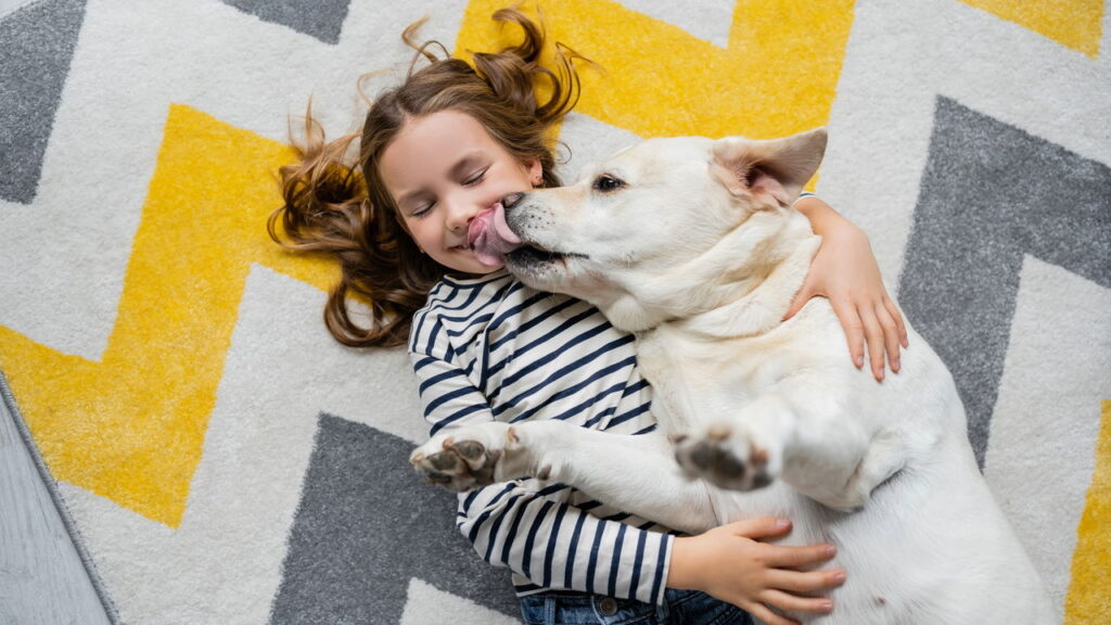 Por que cães lambem seus donos? O motivo vai te surpreender