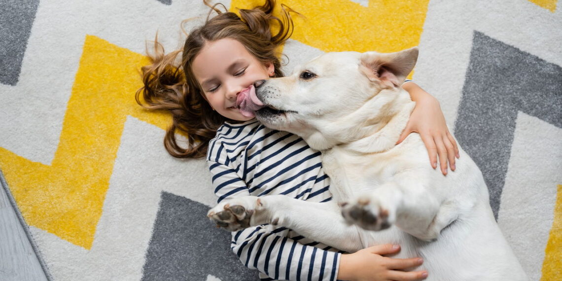 O que significa quando seu cachorro ocupa seu travesseiro para dormir segundo um veterinário