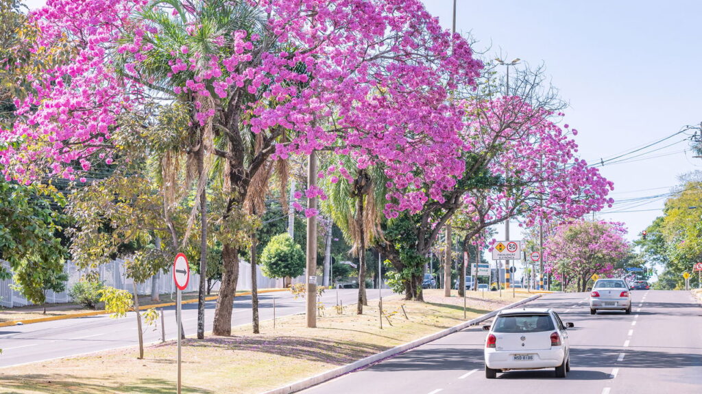 Estas capitais brasileiras viraram o xodó de quem quer economizar