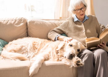 A função mais importante que um pet pode exercer para o ser humano
