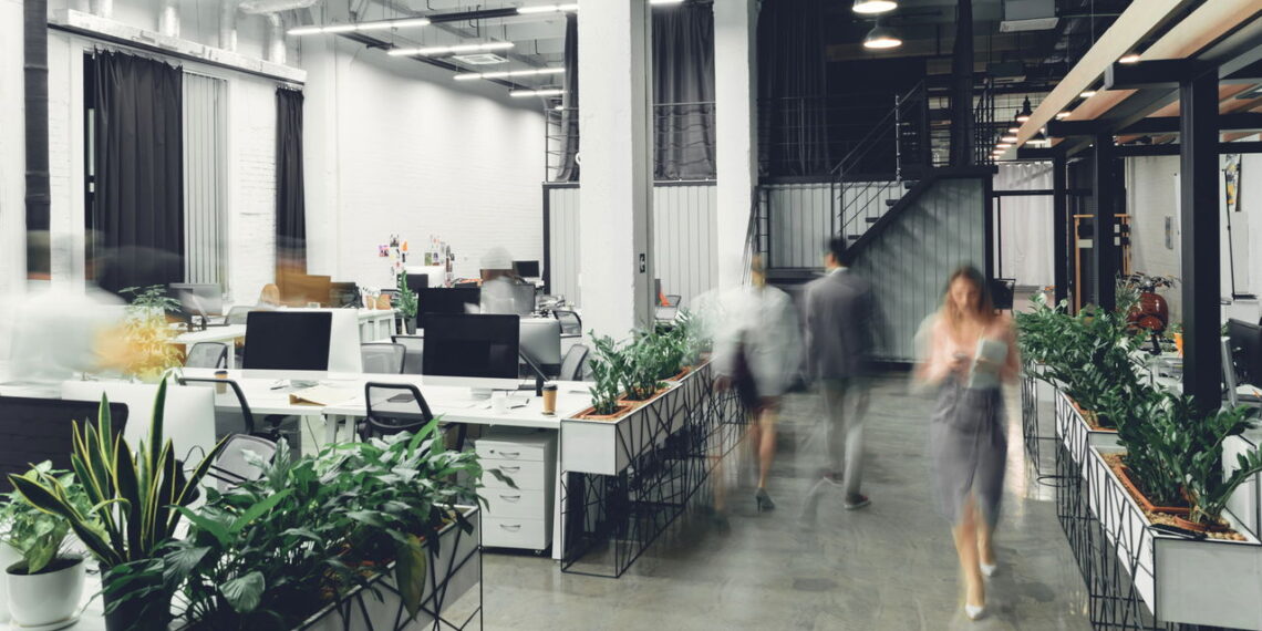 As 3 melhores plantas para aumentar o bem-estar no trabalho