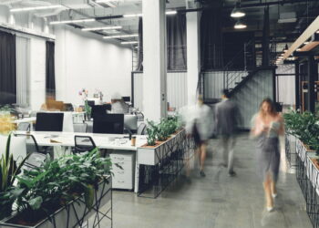 As 3 melhores plantas para aumentar o bem-estar no trabalho