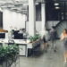 As 3 melhores plantas para aumentar o bem-estar no trabalho