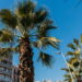 O verão espanhol pode ser a viagem mais inesquecível da sua vida