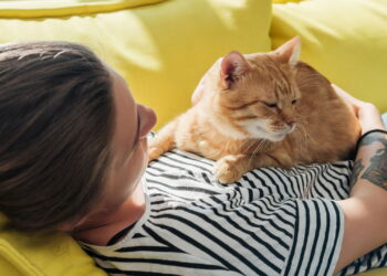 O que significa quando seu gato dorme sobre seu corpo