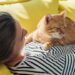 O que significa quando seu gato dorme sobre seu corpo
