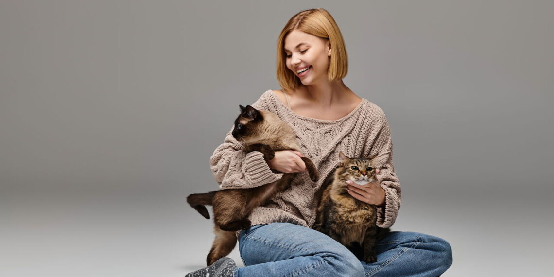 5 sinais de que seu gato já te considera a pessoa favorita dele