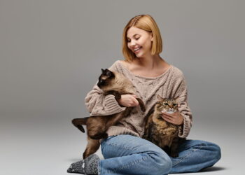 5 sinais de que seu gato já te considera a pessoa favorita dele