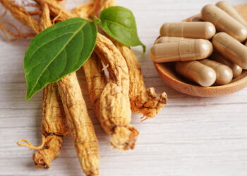 Aprenda a aproveitar os benefícios do ginseng cultivando-o em casa