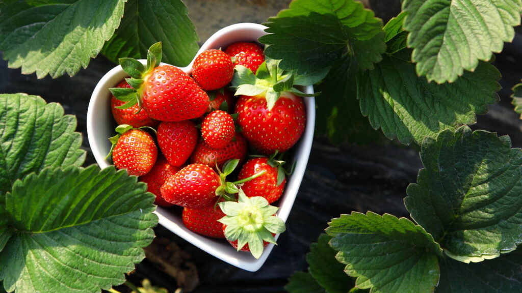 A receita mais fácil de morango do amor com cobertura perfeita