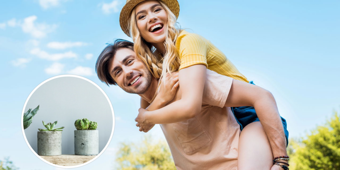 As 5 plantas que podem ajudar a reduzir o estresse e melhorar o humor
