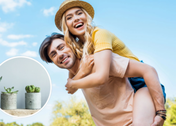 As 5 plantas que podem ajudar a reduzir o estresse e melhorar o humor