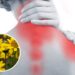 O segredo milenar por trás do anti-inflamatório mais respeitado da natureza