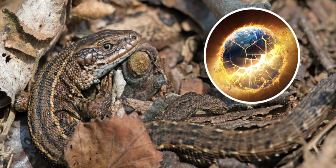 Eles resistiram ao apocalipse dos dinossauros e ainda vivem entre nós