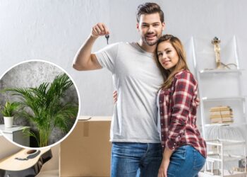 As 5 plantas mais práticas para quem acabou de se mudar