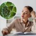 Top 5 plantas mais resistentes para quem vive na correria
