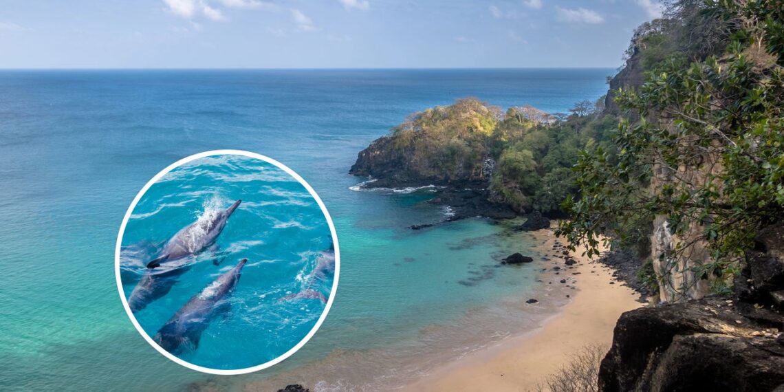 Esse paraíso brasileiro esconde segredos que encantam turistas