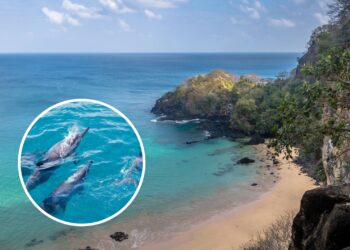Esse paraíso brasileiro esconde segredos que encantam turistas