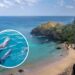 Esse paraíso brasileiro esconde segredos que encantam turistas